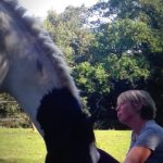 Photo Sylvie Dufresnes - Equ'O Equi coaching intelligence émotionnel cheval chevaux coaching management team Pep's développement