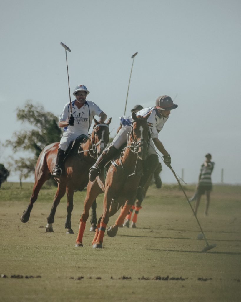 Activité séminaire polo à cheval 